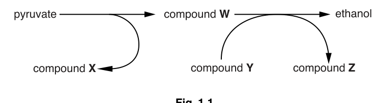 Fig. 1.1