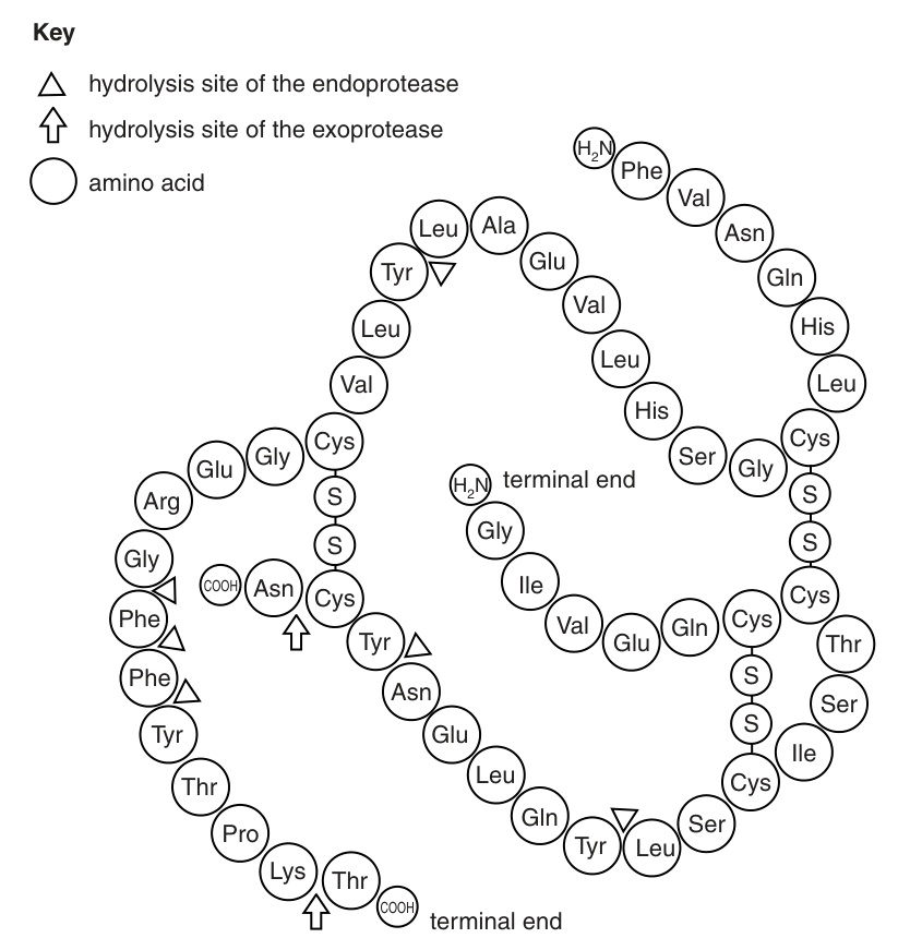 Fig. 1.1