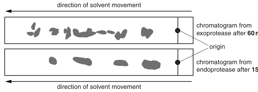 Fig. 1.2