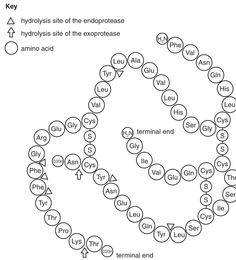 Fig. 1.1