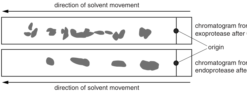 Fig. 1.2