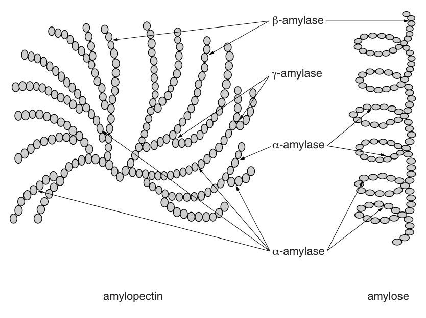 Fig. 1.1