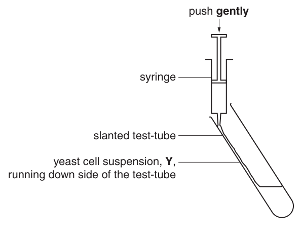Fig. 1.1