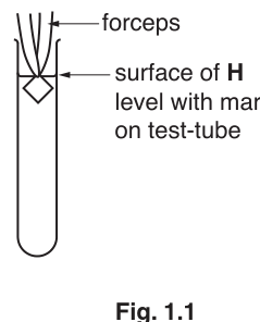 Fig. 1.1