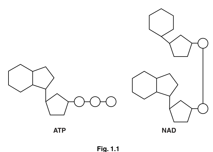 Fig. 1.1