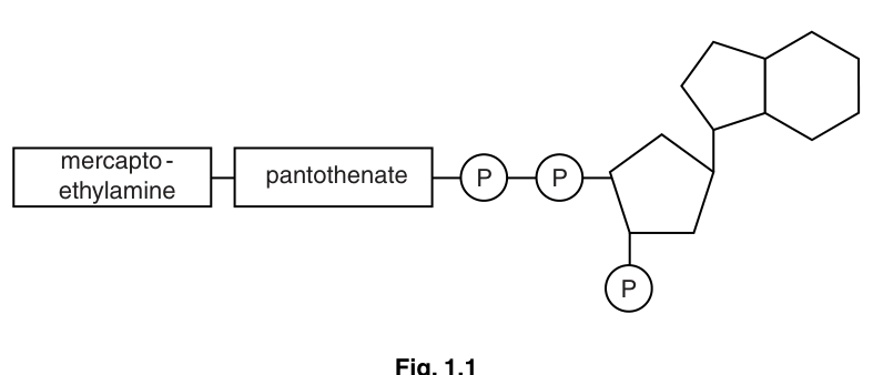 Fig. 1.1