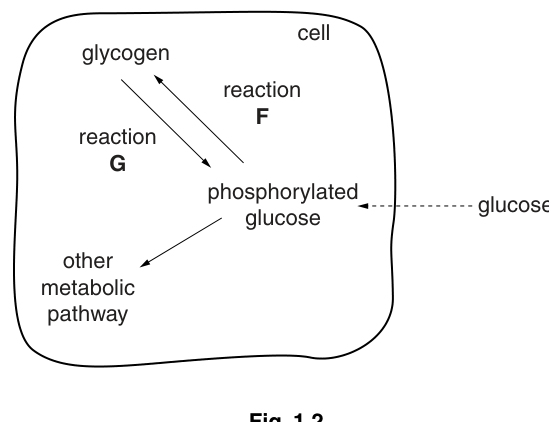 Fig. 1.2