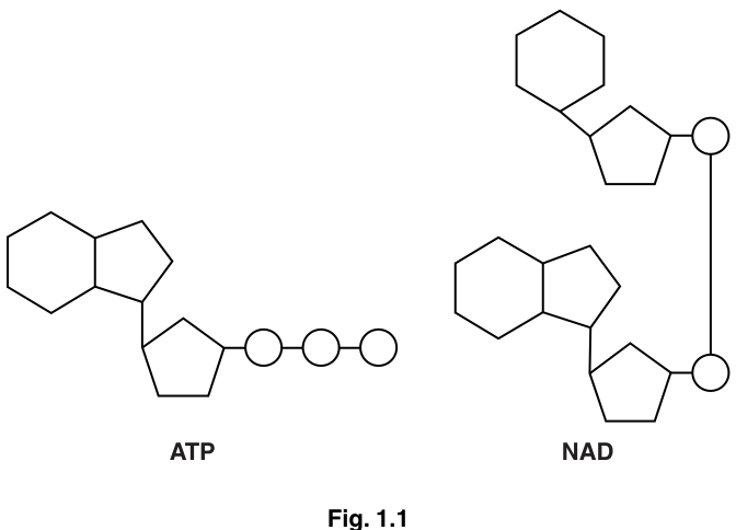 Fig. 1.1