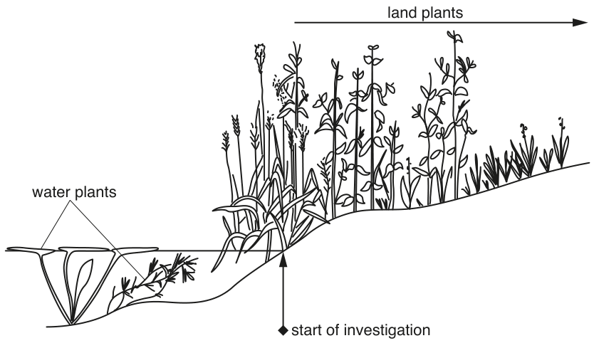 Fig. 1.1