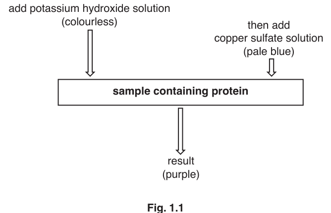 Fig. 1.1