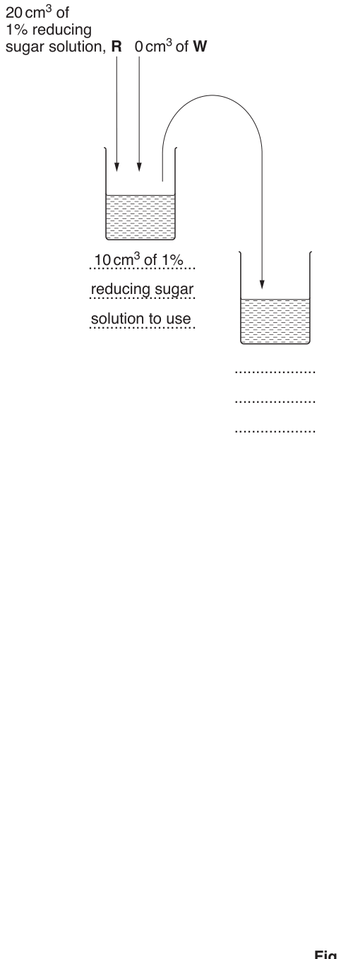Fig. 1.1