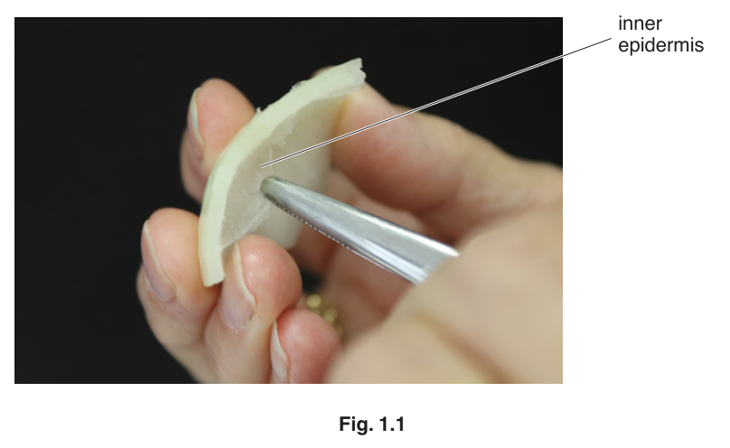 Fig. 1.1
