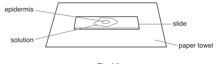 Fig. 1.2