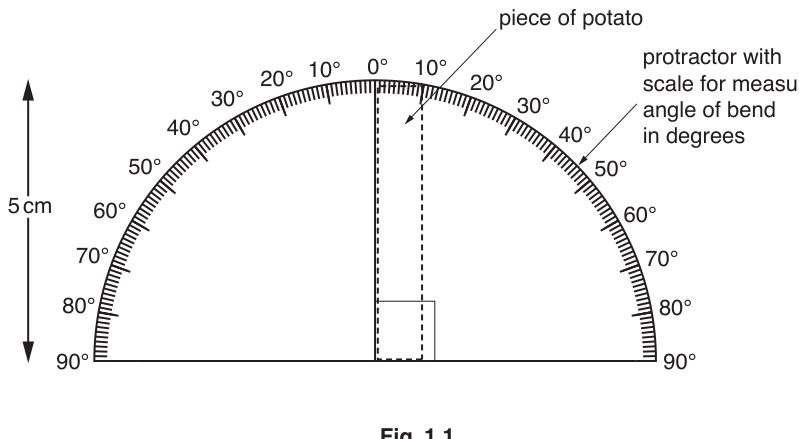 Fig. 1.1