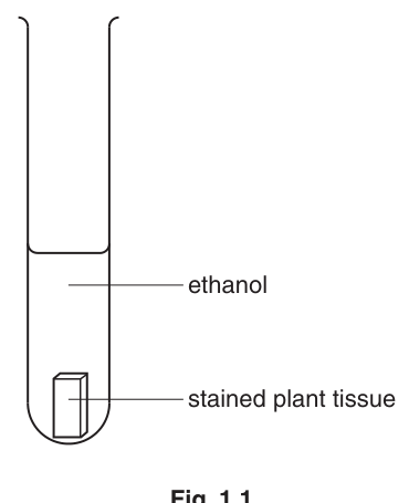 Fig. 1.1