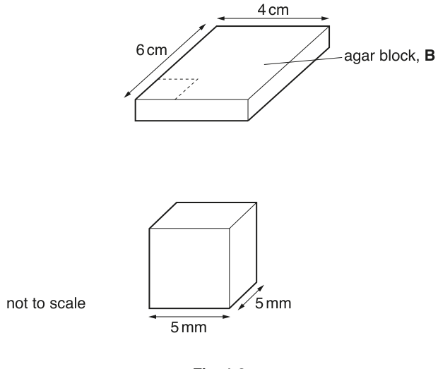 Fig. 1.2