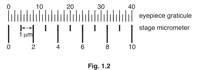 Fig. 1.2