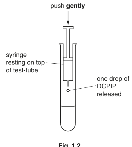 Fig. 1.2
