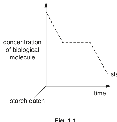 Fig. 1.1
