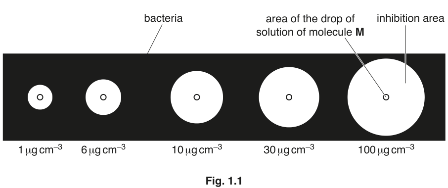 Fig. 1.1