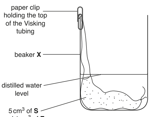 Fig. 1.1