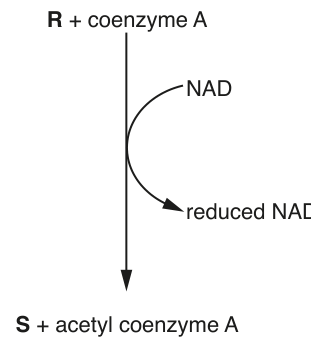 Fig. 1.1
