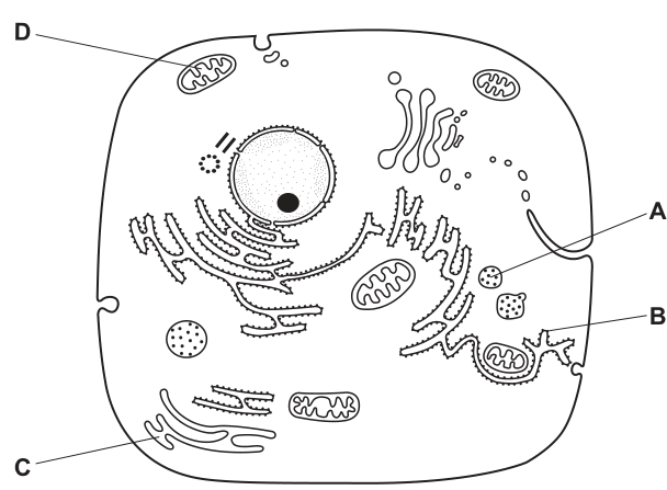 Fig. 1.1