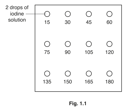 Fig. 1.1