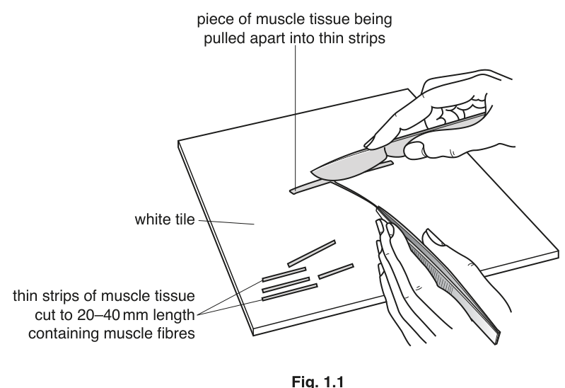 Fig. 1.1