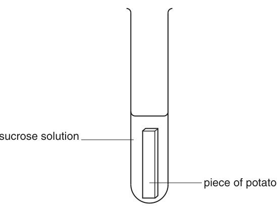 Fig. 1.1
