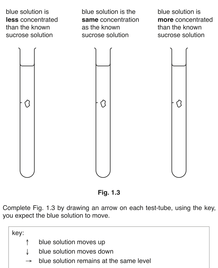 Fig. 1.3