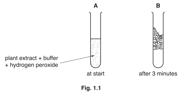 Fig. 1.1