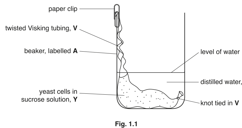 Fig. 1.1