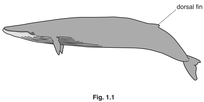Fig. 1.1