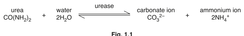 Fig. 1.1