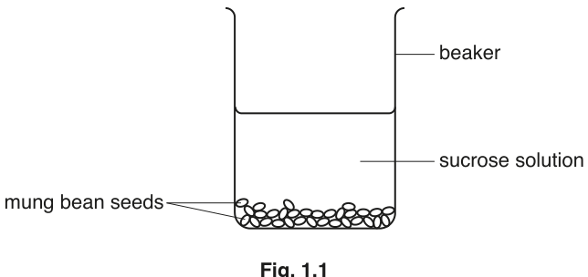 Fig. 1.1