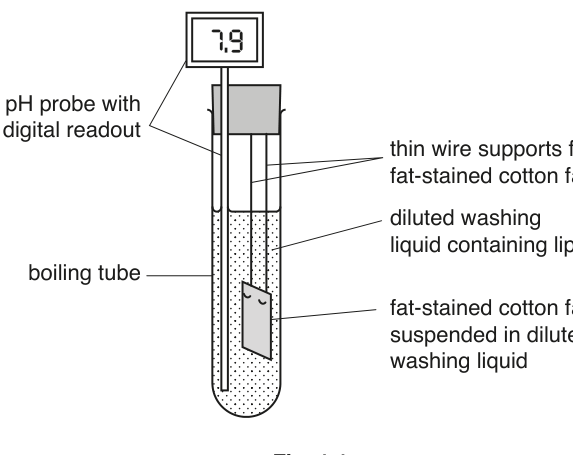 Fig. 1.1