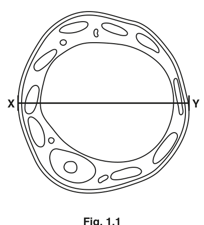 Fig. 1.1
