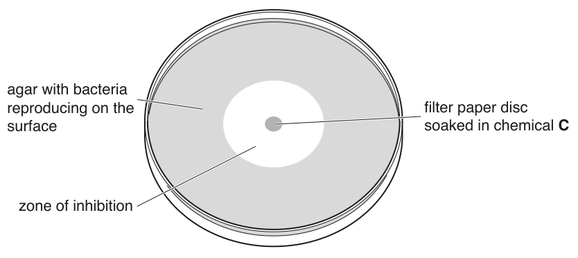 Fig. 1.2
