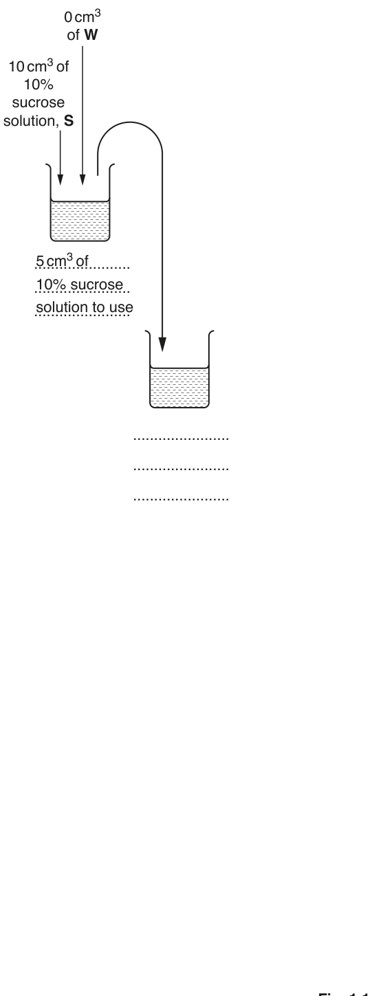 Fig. 1.1