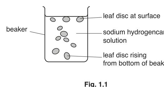 Fig. 1.1
