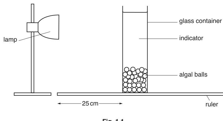 Fig. 1.1