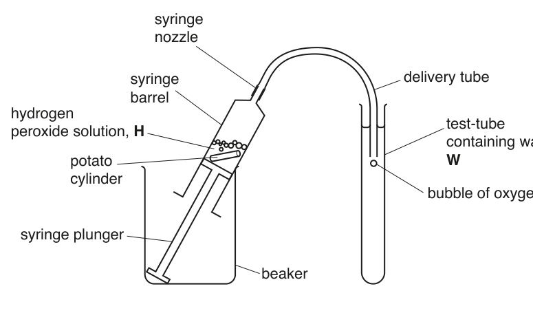 Fig. 1.4