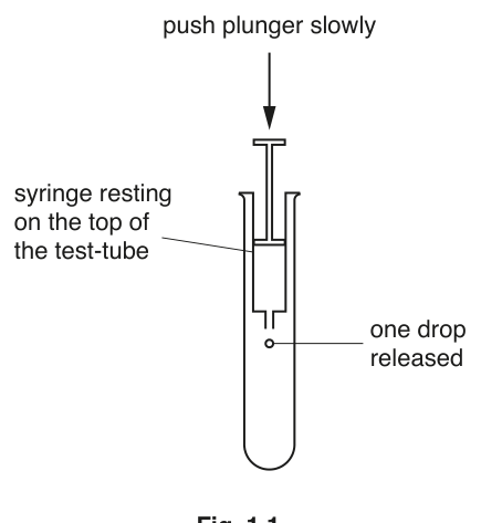 Fig. 1.1