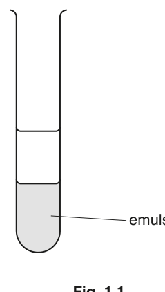 Fig. 1.1