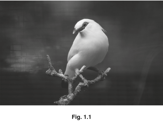 Fig. 1.1