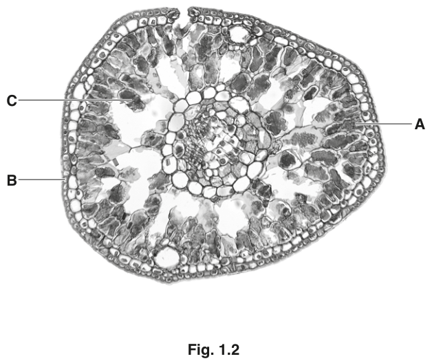 Fig. 1.2