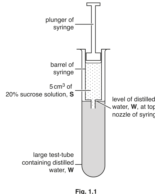 Fig. 1.1