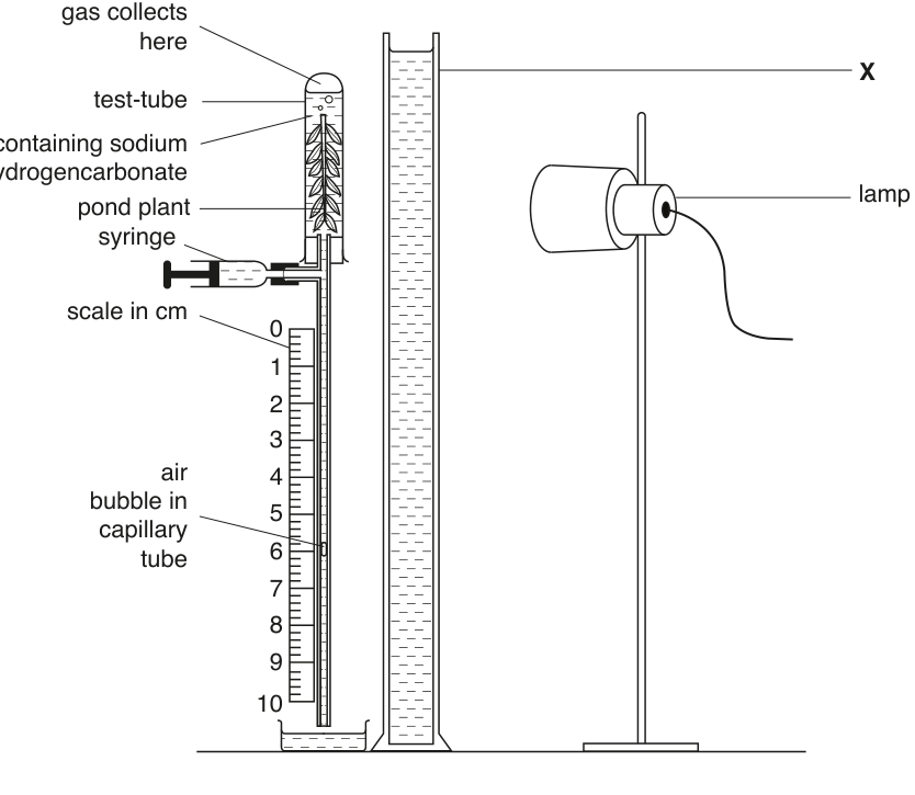 Fig. 1.1