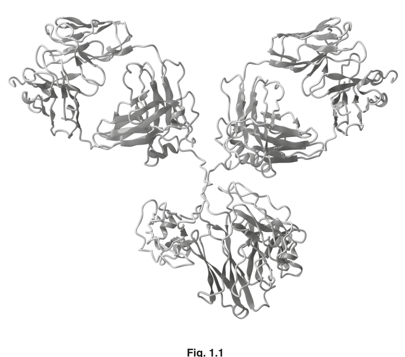 Fig. 1.1